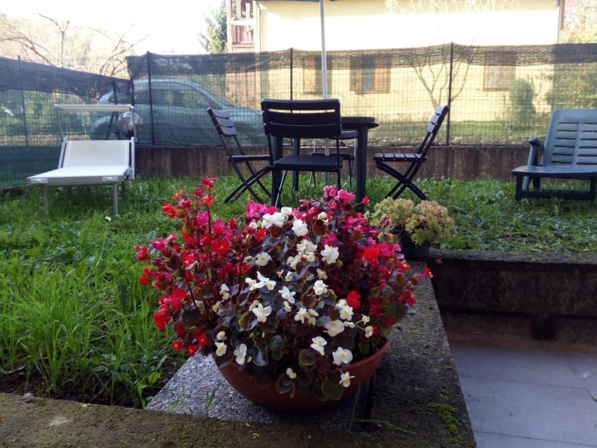 Appartamento In Toscana Con Piscina E Giardino Arpiola Extérieur photo