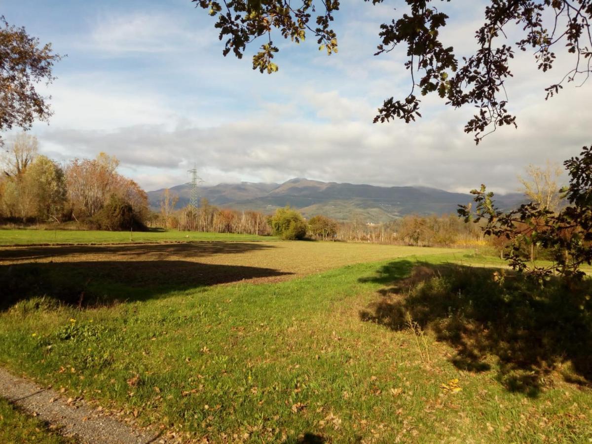 Appartamento In Toscana Con Piscina E Giardino Arpiola Extérieur photo